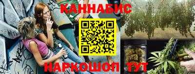 шишки Новодвинск