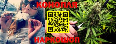 шишки Новодвинск