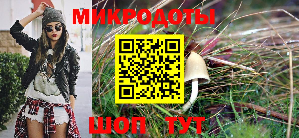 Ставрополь  Галлюциногенные грибы прущие грибы  Вход с VPN 