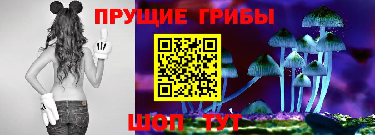 Галлюциногенные грибы ЛСД Ставрополь